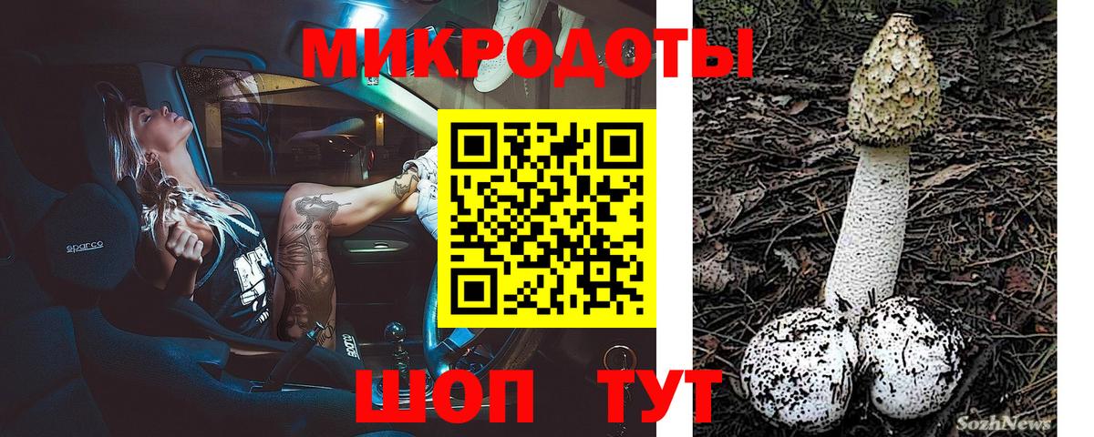 Псилоцибиновые грибы Psilocybine cubensis  Гагарин 