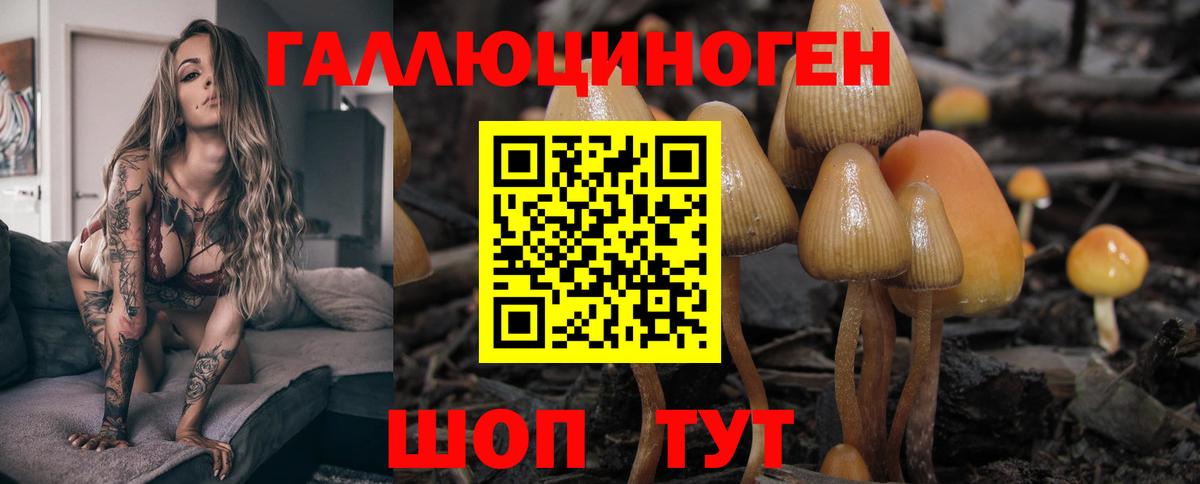 Псилоцибиновые грибы Psilocybe Гагарин